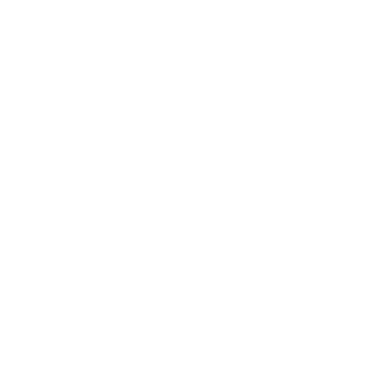 PF Flyers