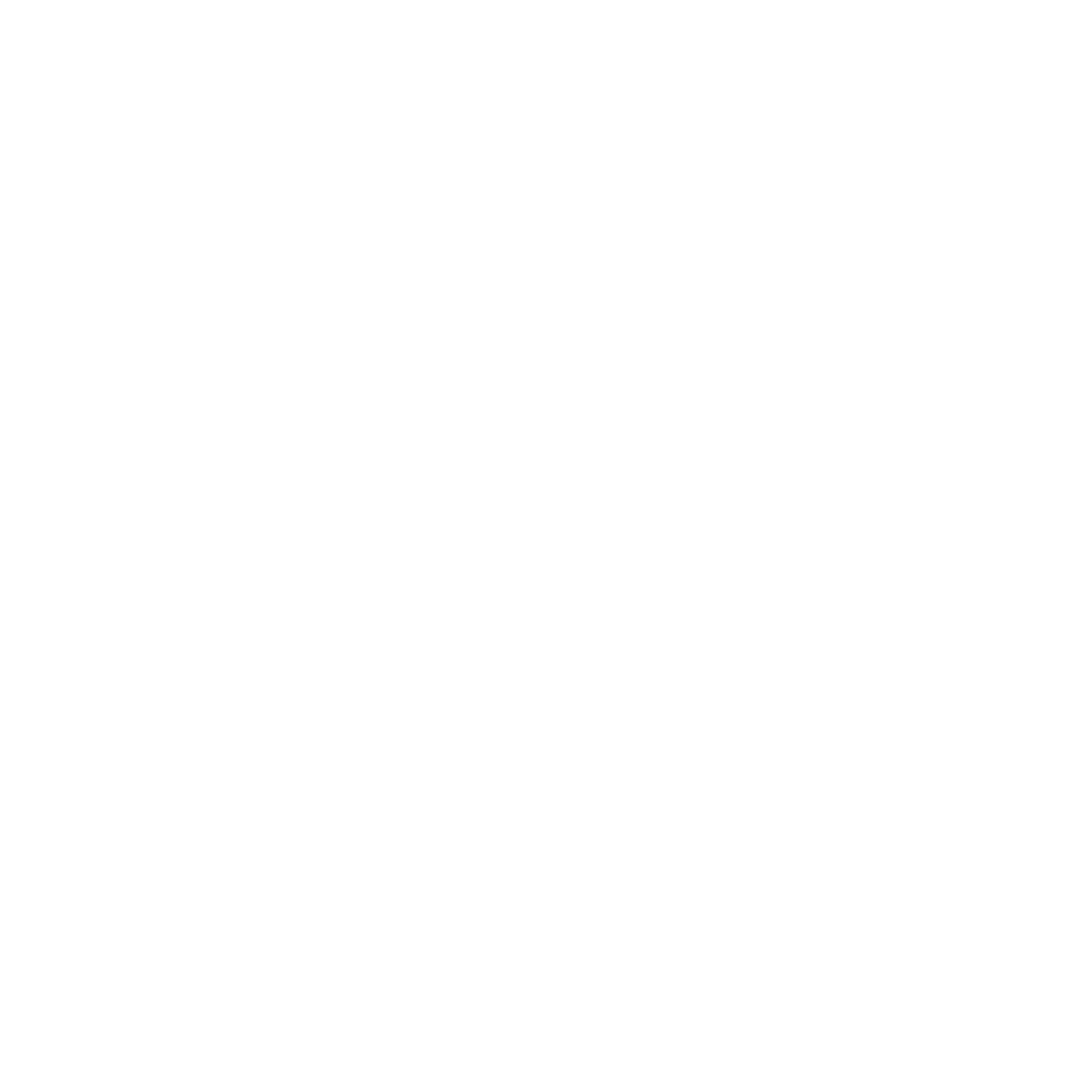 13 - Asics