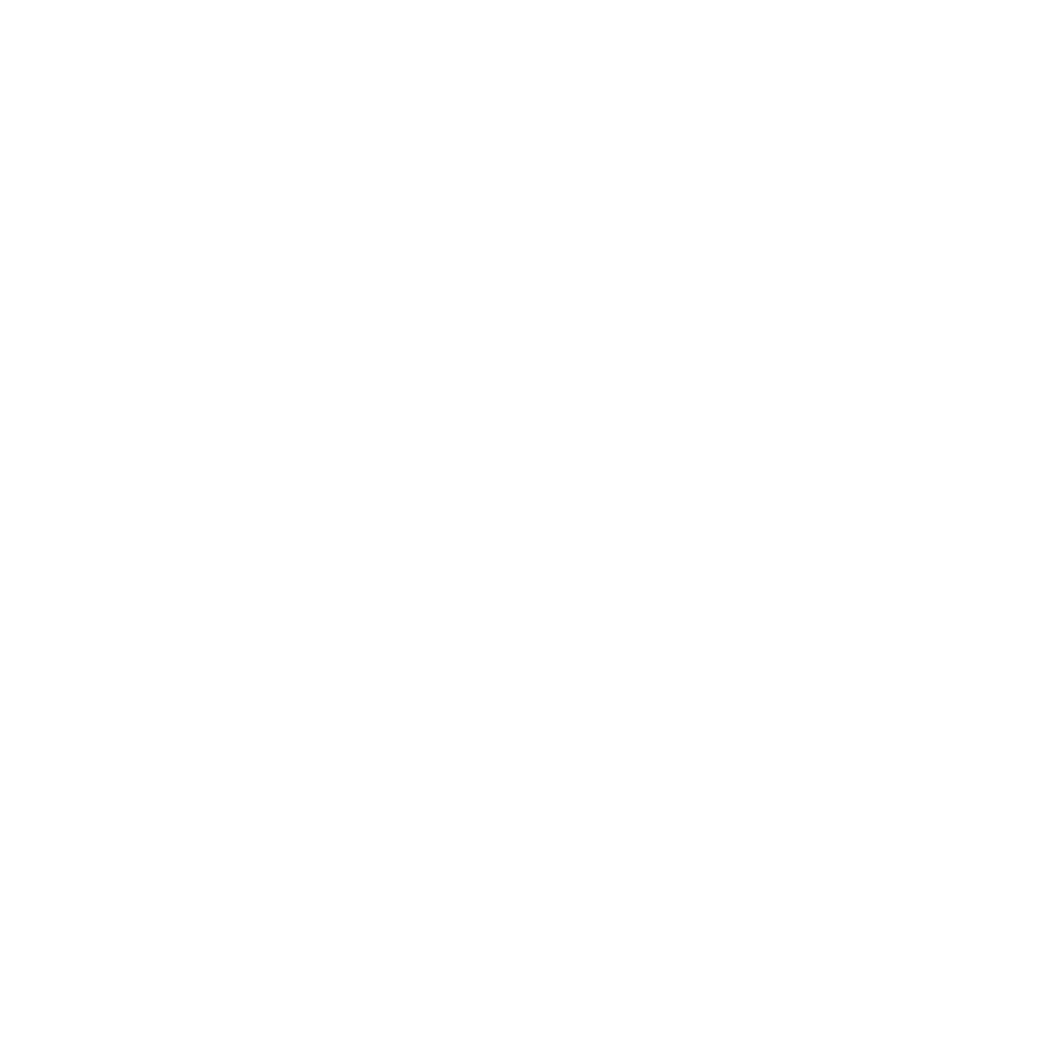02 - Puma